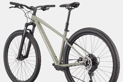 Trail 1 Cannondale 2025 Tiger Shark #3
